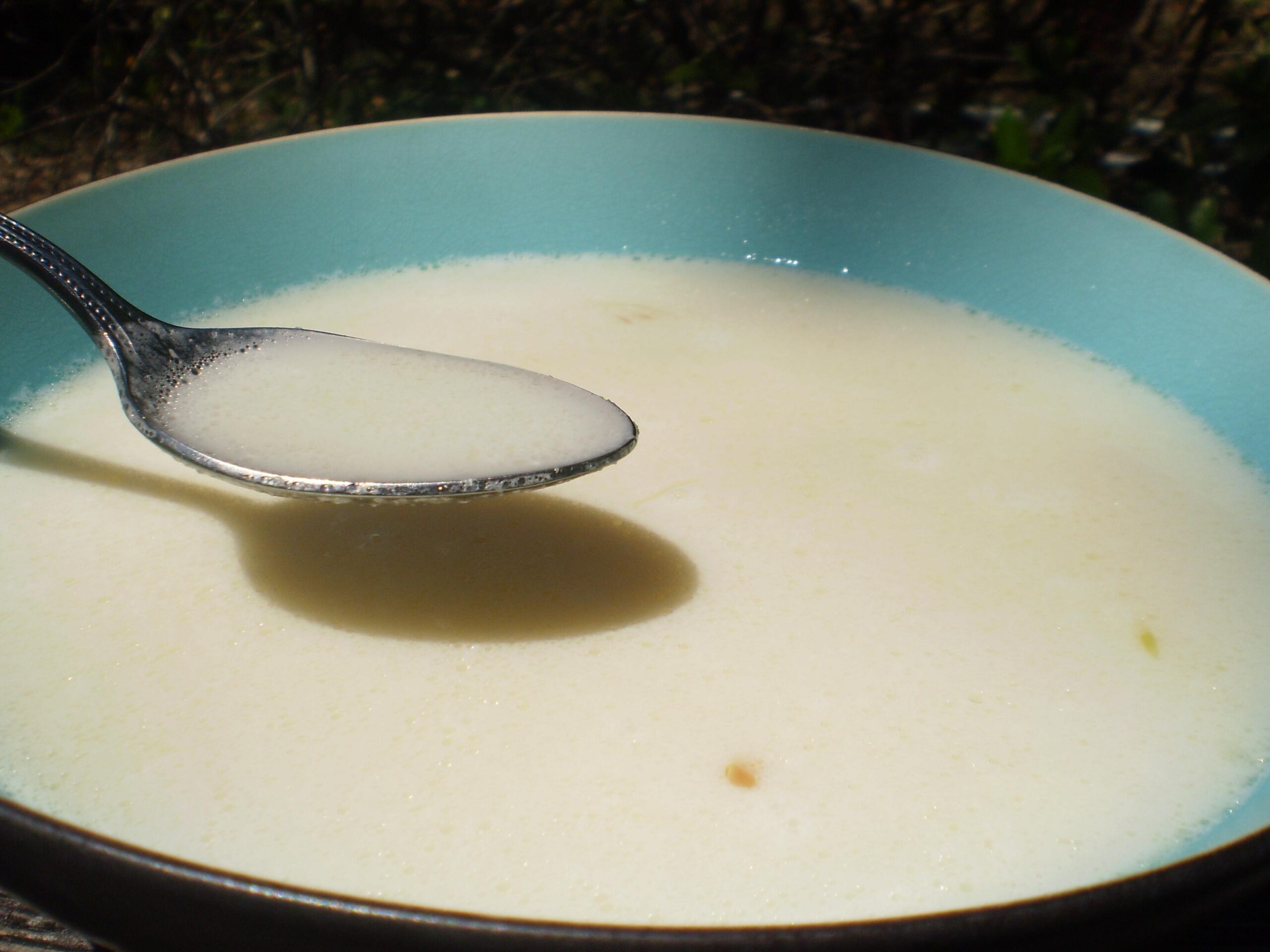 Delectable Portuguese Soup: Potato & Garlic Recipe