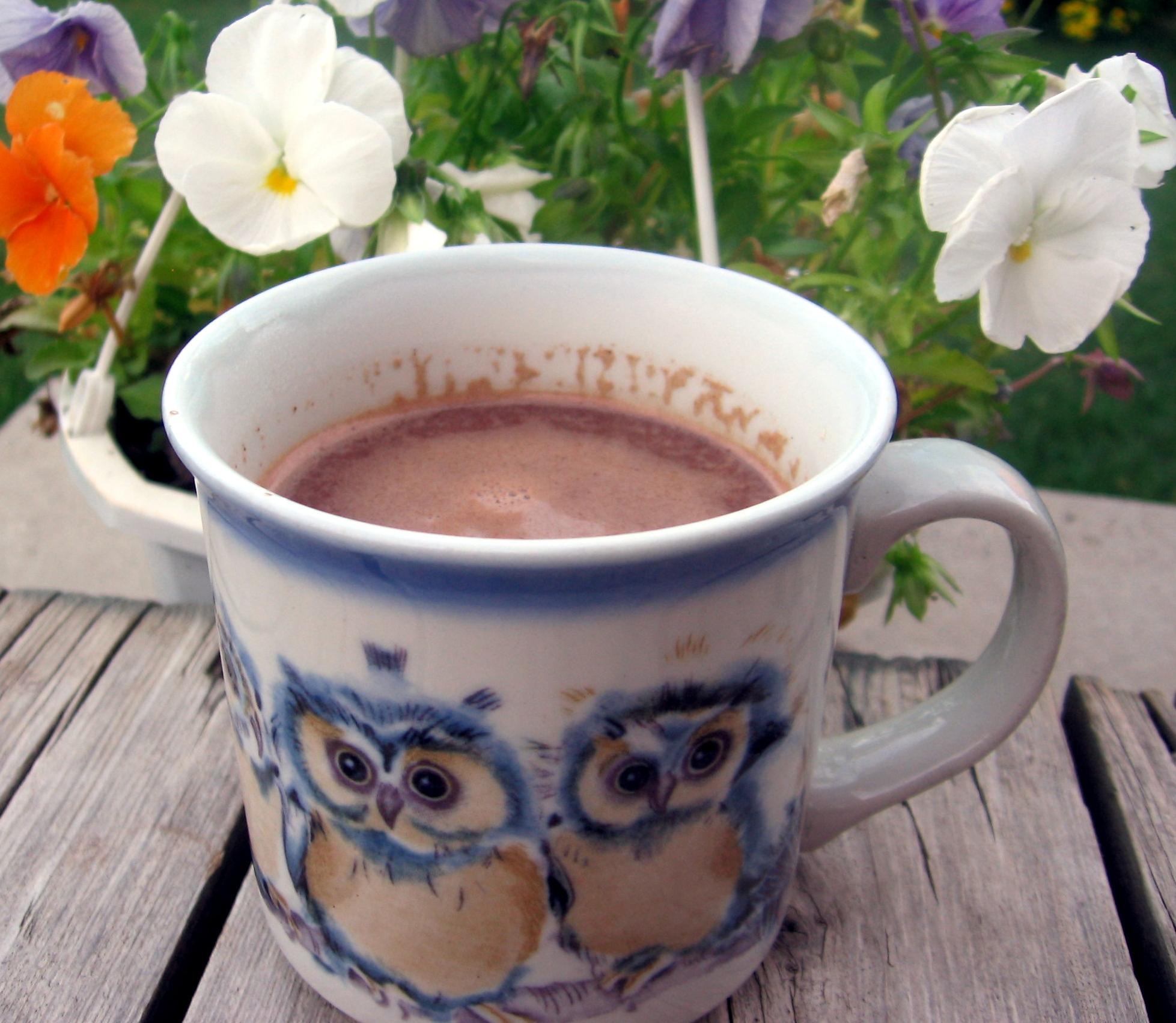 Satisfy your chocolate cravings with this creamy Brazilian hot chocolate!